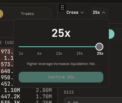 The leverage picker set to Cross margin mode with a slider from 1x to 25x, currently at 25x, with the warning that higher leverage increases liquidation risk and a Confirm 25x button.